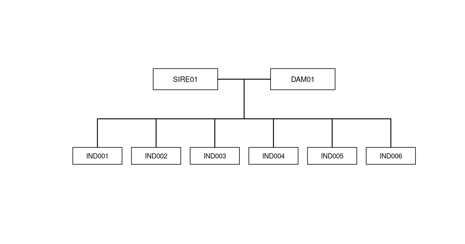 A sex-neutral pedigree diagram. Boxes labelled SIRE01 and DAM01 are joined at the top. A shared descent line branches to six boxes labelled IND001 through IND006 below, showing that all six have the same two recorded parents.